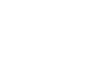 CSS Versicherung_bw