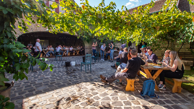 People sitting at tables in a vineyard with brick tiles and buildings